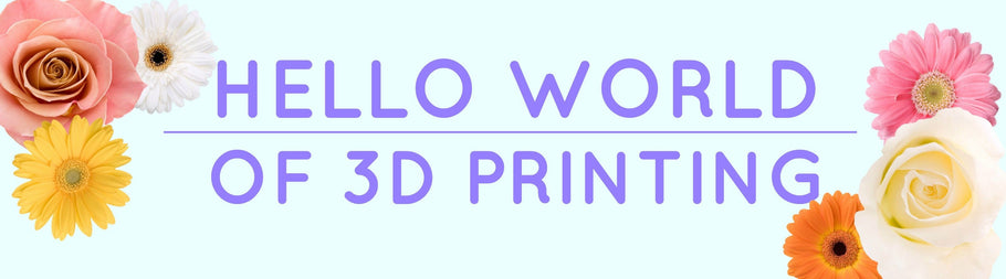 Hello World of 3D Printing!